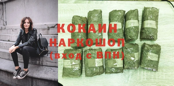 дживик Дмитриев