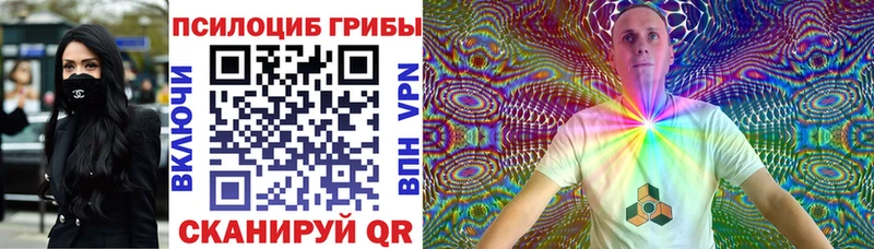 Псилоцибиновые грибы Psilocybine cubensis  где можно купить наркотик  omg ссылки  Новый Уренгой 
